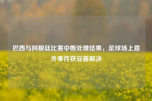 巴西与阿根廷比赛中断处理结果,足球场上意外事件获妥善解决