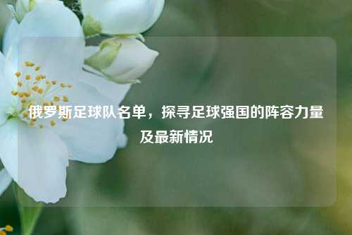 俄罗斯足球队名单,探寻足球强国的阵容力量及最新情况
