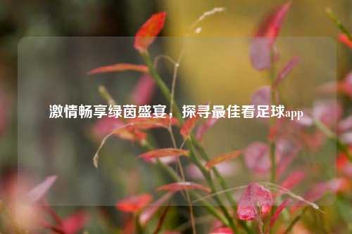 ***畅享绿茵盛宴,探寻更佳看足球app