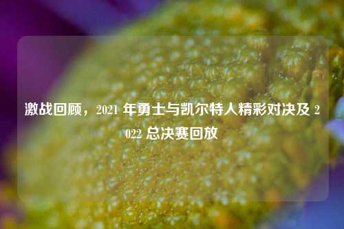 激战回顾,2021 年勇士与凯尔特人精彩对决及 2022 总决赛回放