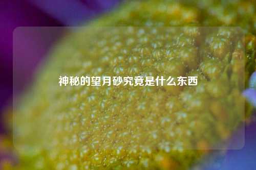 神秘的望月砂究竟是什么东西