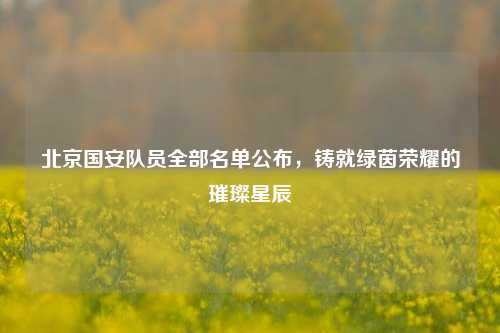 北京国安队员全部名单公布，铸就绿茵荣耀的璀璨星辰