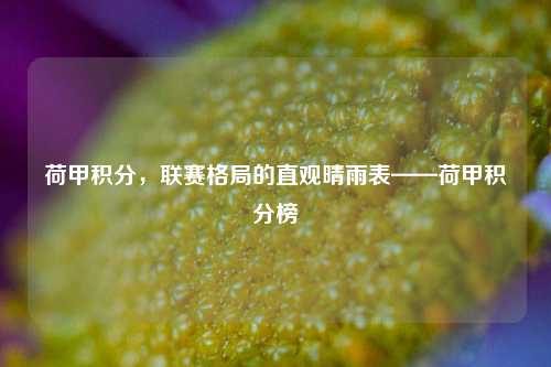 荷甲积分，联赛格局的直观晴雨表——荷甲积分榜
