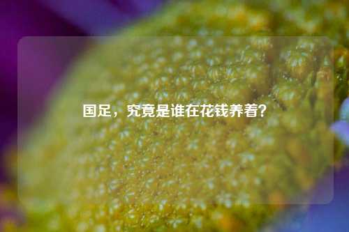 国足，究竟是谁在花钱养着？