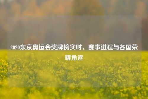 2020东京奥运会奖牌榜实时,赛事进程与各国荣耀角逐