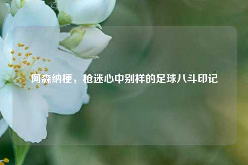 阿森纳梗,枪迷心中别样的足球八斗印记