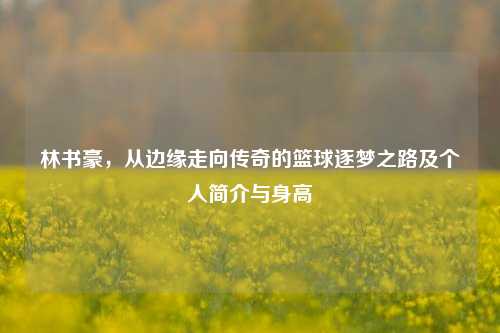 林书豪，从边缘走向传奇的篮球逐梦之路及个人简介与身高