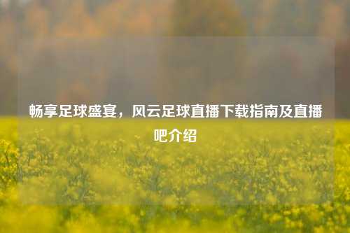 畅享足球盛宴，风云足球直播下载指南及直播吧介绍