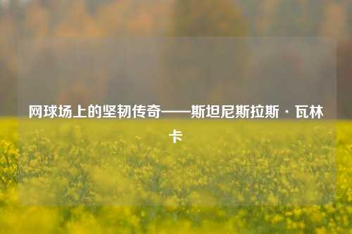 网球场上的坚韧传奇——斯坦尼斯拉斯·瓦林卡
