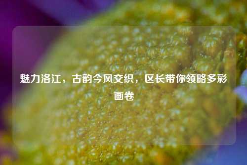 魅力洛江，古韵今风交织，区长带你领略多彩画卷