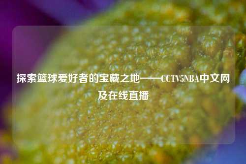 探索篮球爱好者的宝藏之地——CCTV5NBA中文网及在线直播