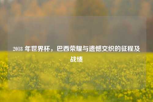 2018 年世界杯，巴西荣耀与遗憾交织的征程及战绩