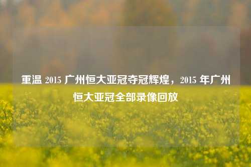 重温 2015 广州恒大亚冠夺冠辉煌,2015 年广州恒大亚冠全部录像回放