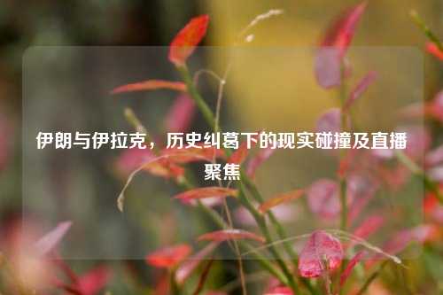 伊朗与伊拉克,历史纠葛下的现实碰撞及直播聚焦