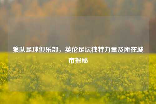 狼队足球俱乐部,英伦足坛独特力量及所在城市探秘