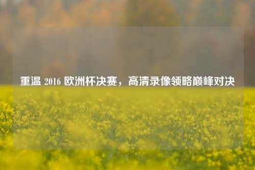 重温 2016 欧洲杯决赛,高清录像领略巅峰对决
