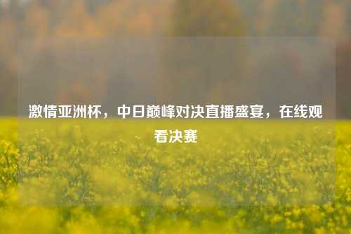 ***亚洲杯，中日巅峰对决直播盛宴，在线观看决赛