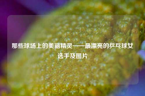 那些球场上的美丽精灵——最漂亮的乒乓球女选手及图片