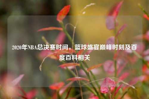 2020年NBA总决赛时间，篮球盛宴巅峰时刻及百度百科相关
