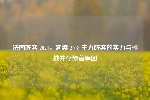 法国阵容 2021,延续 2018 主力阵容的实力与挑战并存绿茵军团
