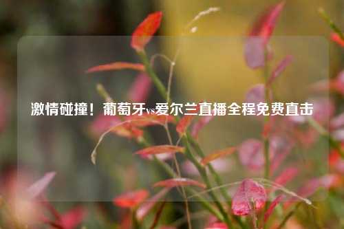 ***碰撞!葡萄牙vs爱尔兰直播全程免费直击