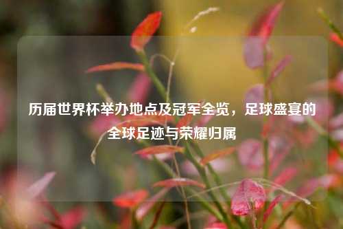 历届世界杯举办地点及冠军全览，足球盛宴的全球足迹与荣耀归属