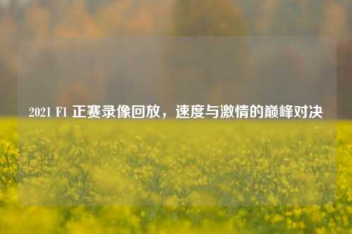 2021 F1 正赛录像回放，速度与***的巅峰对决
