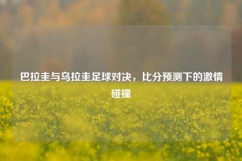 巴拉圭与乌拉圭足球对决,比分预测下的***碰撞