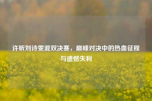 许昕刘诗雯混双决赛,巅峰对决中的热血征程与遗憾失利