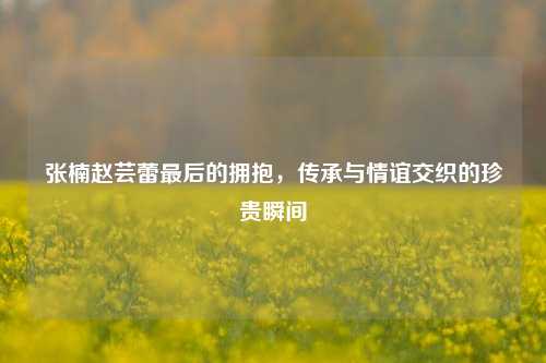张楠赵芸蕾最后的拥抱,传承与情谊交织的珍贵瞬间