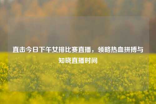 直击今日下午女排比赛直播，领略热血拼搏与知晓直播时间
