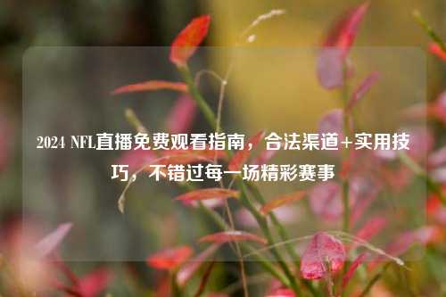2024 NFL直播免费观看指南，合法渠道+实用技巧，不错过每一场精彩赛事