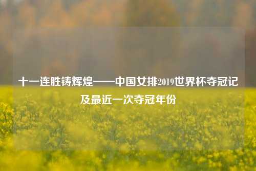 十一连胜铸辉煌——中国女排2019世界杯夺冠记及最近一次夺冠年份