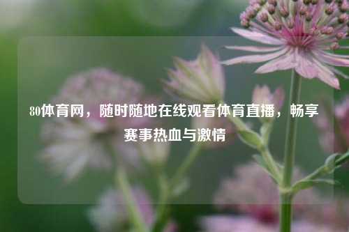 80体育网，随时随地在线观看体育直播，畅享赛事热血与***