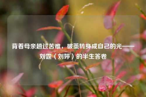 背着母亲趟过苦难，破茧转身成自己的光——刘霆（刘婷）的半生答卷