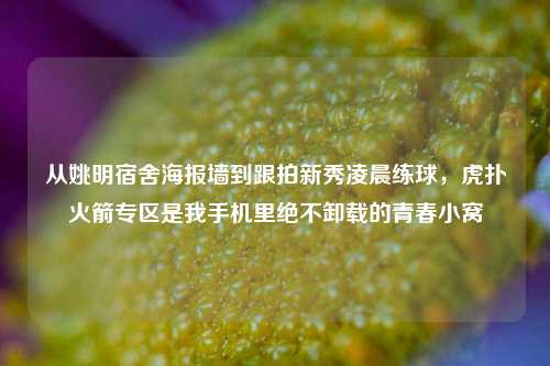 从姚明宿舍海报墙到跟拍新秀凌晨练球,虎扑火箭专区是我手机里绝不卸载的青春小窝