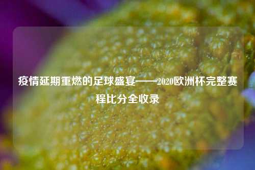 疫情延期重燃的足球盛宴——2020欧洲杯完整赛程比分全收录