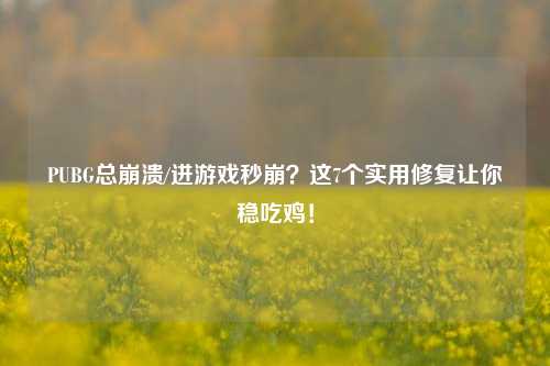PUBG总崩溃/进游戏秒崩?这7个实用修复让你稳吃鸡!