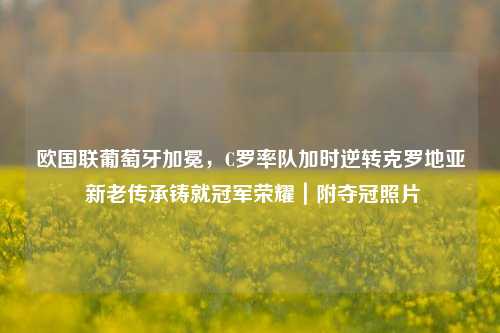 欧国联葡萄牙加冕,C罗率队加时逆转克罗地亚 新老传承铸就冠军荣耀|附夺冠照片