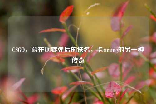 CSGO，藏在烟雾弹后的佚名，卡timing的另一种传奇
