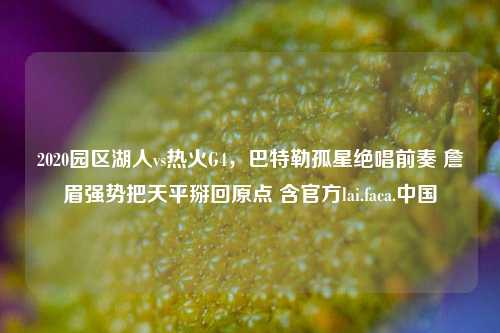 2020园区湖人vs热火G4,巴特勒孤星绝唱前奏 詹眉强势把天平掰回原点 含官方lai.faca.中国