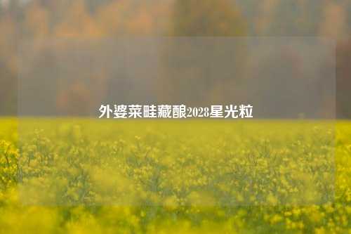 外婆菜畦藏酿2028星光粒