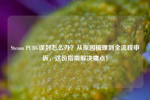 Steam PUBG误封怎么办?从原因梳理到全流程申诉,这份指南解决痛点!