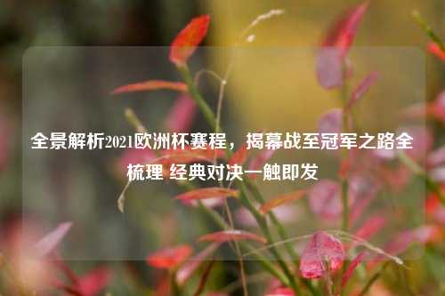全景解析2021欧洲杯赛程,揭幕战至冠军之路全梳理 经典对决一触即发