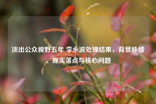淡出公众视野五年 李永波处理结果，背景脉络、现实落点与核心问题