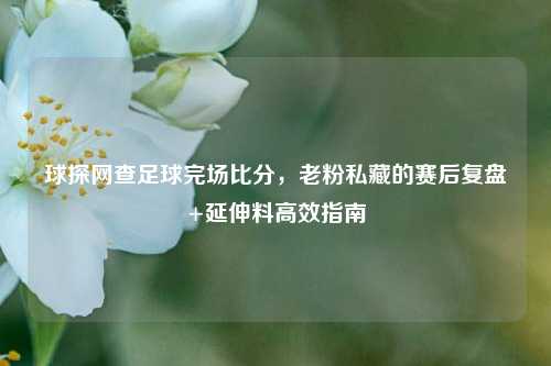 球探网查足球完场比分,老粉私藏的赛后复盘+延伸料高效指南