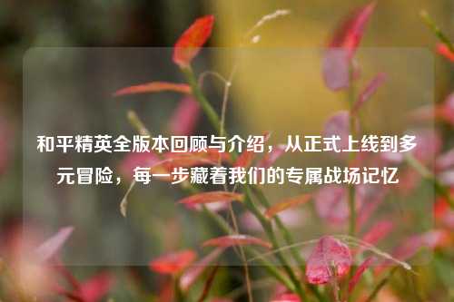和平精英全版本回顾与介绍，从正式上线到多元冒险，每一步藏着我们的专属战场记忆