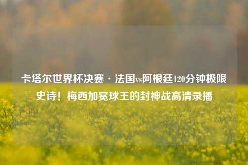 卡塔尔世界杯决赛·法国vs阿根廷120分钟极限史诗！梅西加冕球王的封神战高清录播