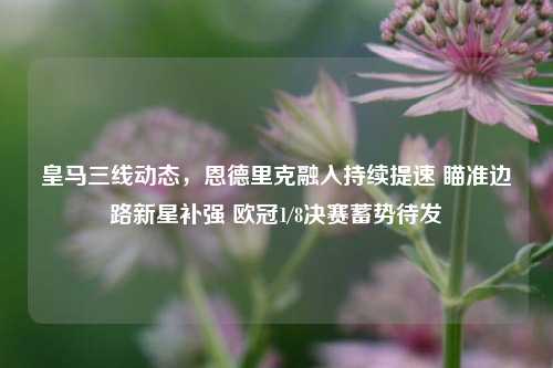 皇马三线动态,恩德里克融入持续提速 瞄准边路新星补强 欧冠1/8决赛蓄势待发