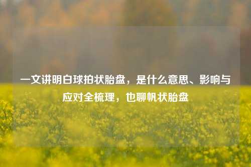 一文讲明白球拍状胎盘,是什么意思、影响与应对全梳理,也聊帆状胎盘
